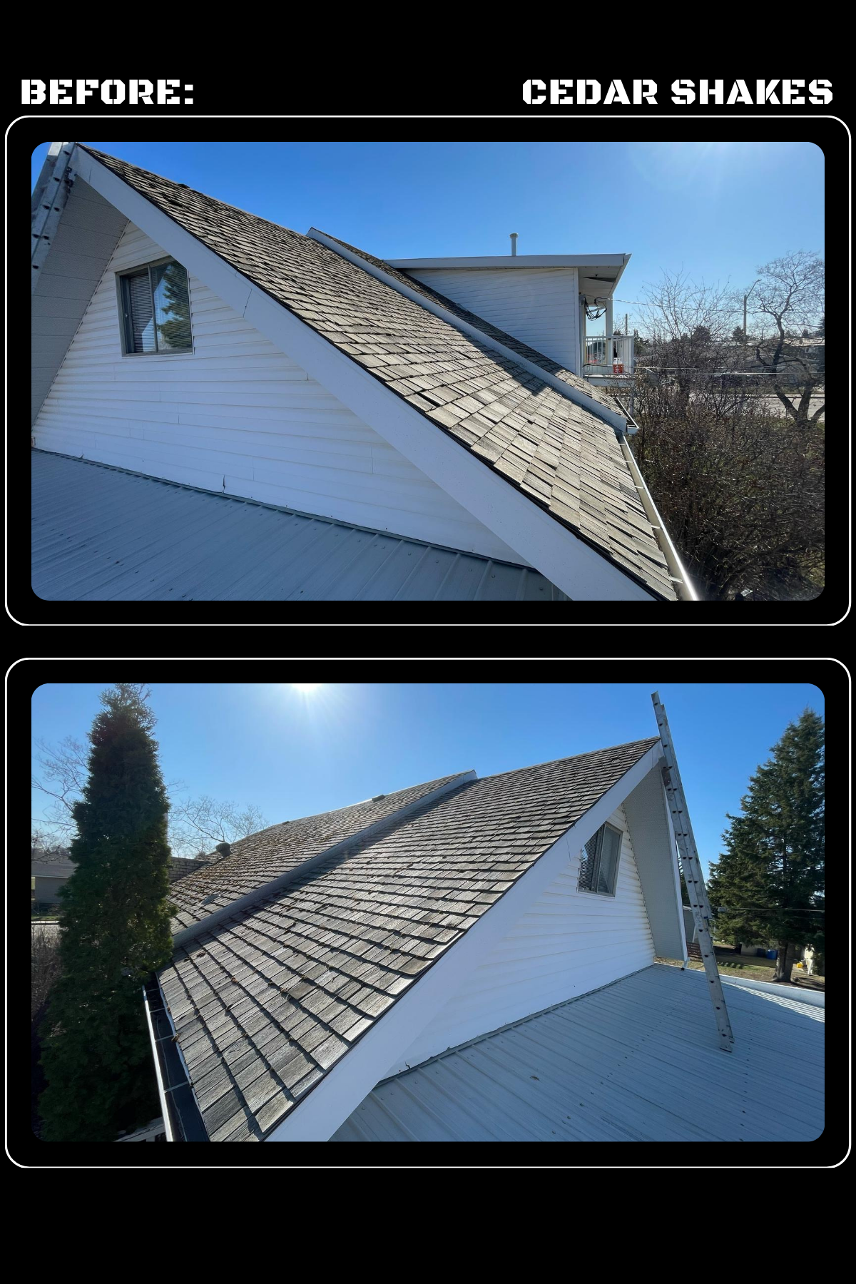Shingle Roofing Project